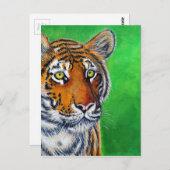 Carte Postale Peinture sur tigre (Devant / Derrière)