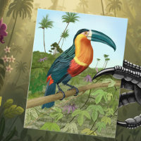Peinture Toucan