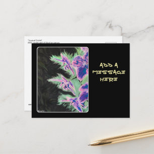 Carte Postale Peinture 'Tropical Orchid' sur une