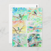 Carte Postale Peintures à l'aquarelle des colibris (Devant / Derrière)