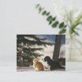 Carte Postale Pékin à la neige | Colorado occidental (Debout devant)