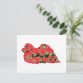 Carte Postale Pekingese (Debout devant)