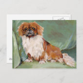Carte Postale Pekingese (Devant / Derrière)
