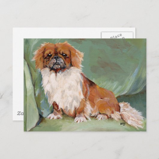 Carte Postale Pekingese (Devant / Derrière)
