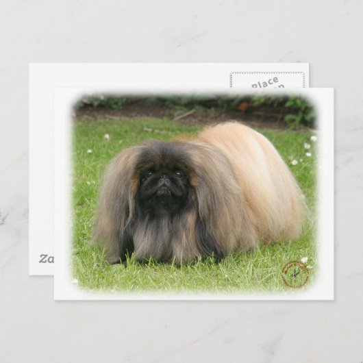 Carte Postale Pekingese 9Y218D-016 (Devant / Derrière)