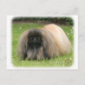 Carte Postale Pekingese 9Y218D-016 (Devant)