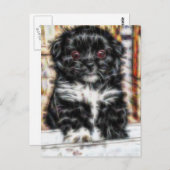 Carte Postale Pekingese mignon Chien chiot (Devant / Derrière)