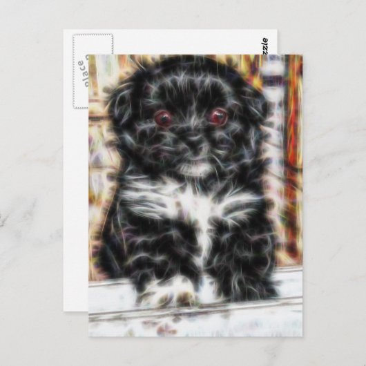 Carte Postale Pekingese mignon Chien chiot (Devant / Derrière)