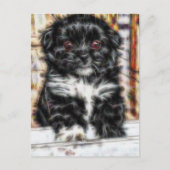 Carte Postale Pekingese mignon Chien chiot (Devant)