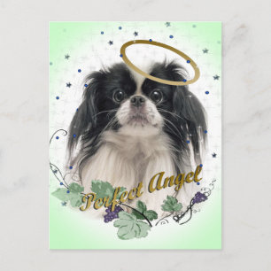 Carte Postale Pekingese Perfect Angel
