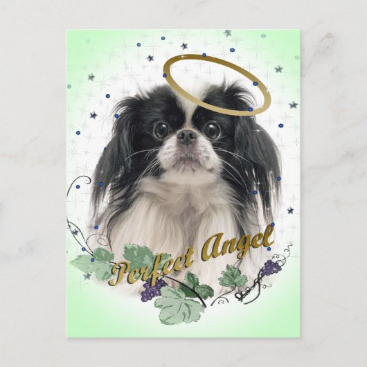 Carte Postale Pekingese Perfect Angel (Devant)
