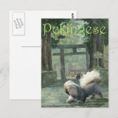 Carte Postale Pékinois à la Porte Orientale (Devant / Derrière)