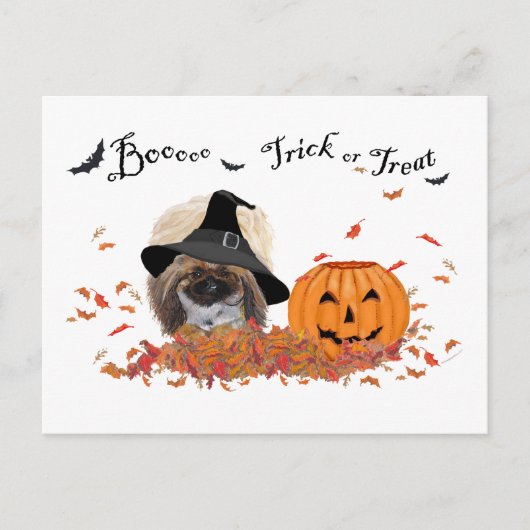 Carte Postale Pékinois Halloween (Devant)