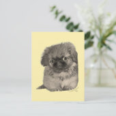 Carte Postale Pékinois Jaune (Debout devant)