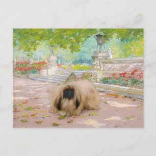 Carte Postale Pékinois miel dans un cadre floral