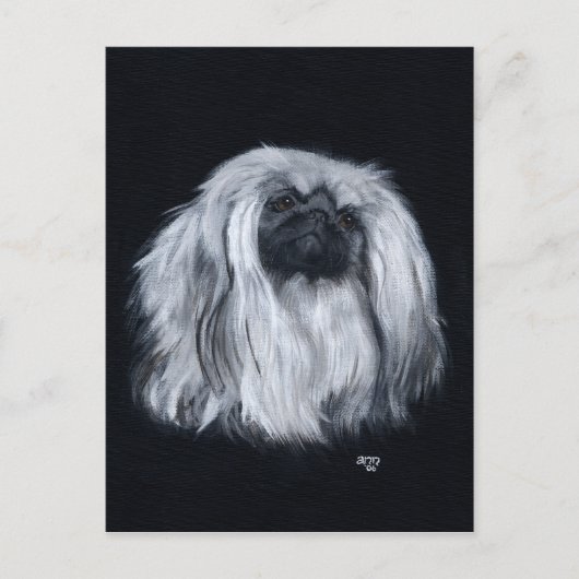 Carte Postale Pékinois Noir & Blanc (Devant)