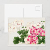 Carte Postale Pelargonium par Tanigami Konan (Devant / Derrière)