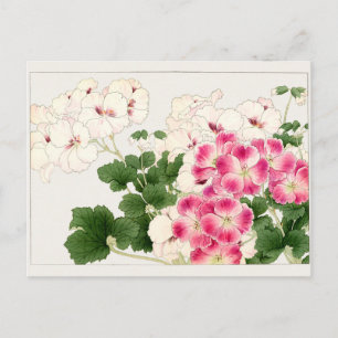 Carte Postale Pelargonium par Tanigami Konan