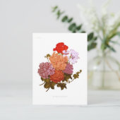 Carte Postale Pelargoniums à feuilles d'ivoire (Debout devant)