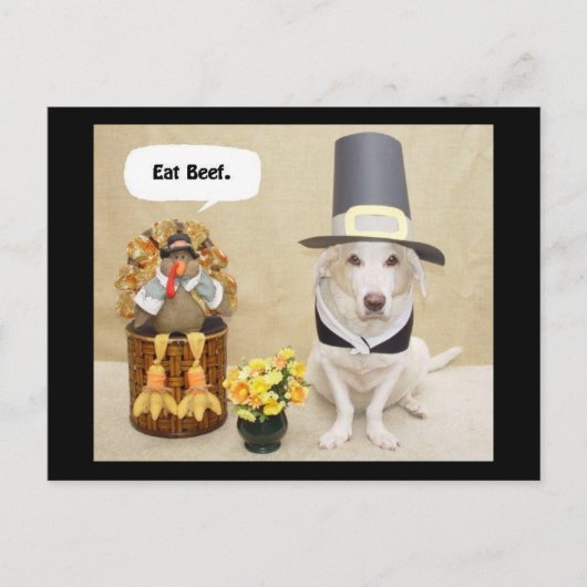 Carte Postale Pèlerin Myrtie (Devant)