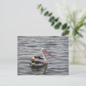 Carte Postale pélican (Debout devant)