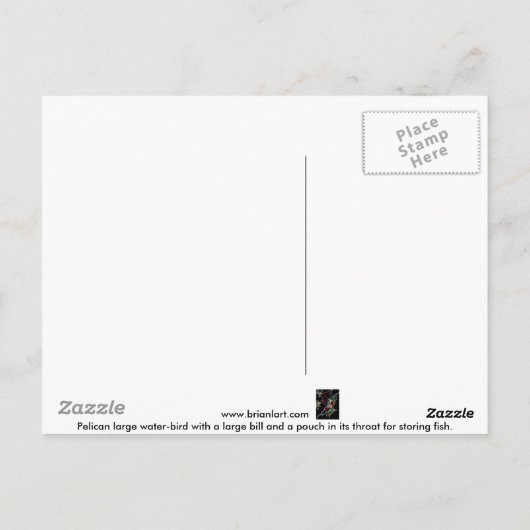 Carte Postale pélican (Dos)