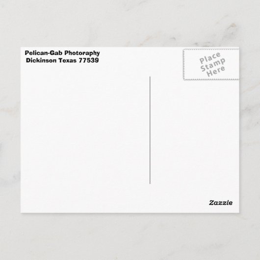 Carte Postale Pélican (Dos)