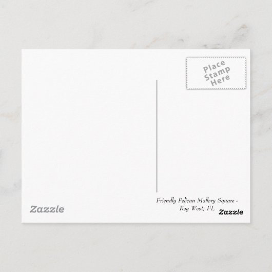 Carte Postale Pélican (Dos)