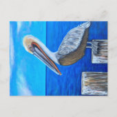 Carte Postale Pélican (Devant)