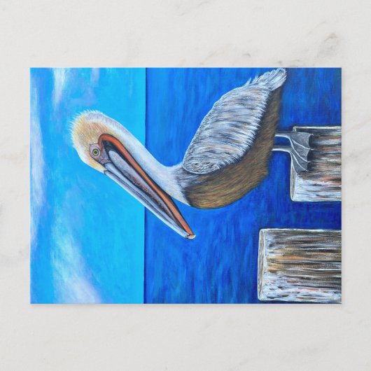 Carte Postale Pélican (Devant)
