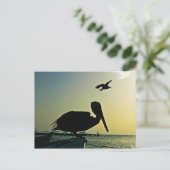 CARTE POSTALE PELICAN (Debout devant)