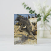 Carte postale Pelican (Debout devant)