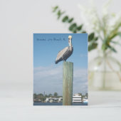 Carte Postale Pelican à Panama City Beach, FL (Debout devant)