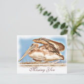 Carte Postale Pelican Await_ (Debout devant)