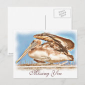 Carte Postale Pelican Await_ (Devant / Derrière)
