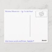 Carte Postale Pelican Beach Bums (Dos)