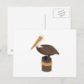 Carte Postale Pélican Brown (Devant / Derrière)