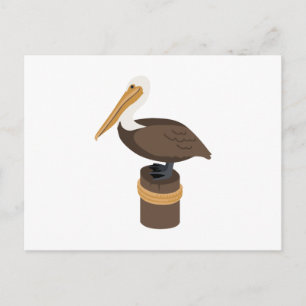 Carte Postale Pélican Brown