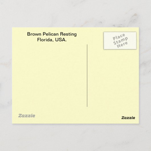 Carte Postale Pélican Brown (Dos)