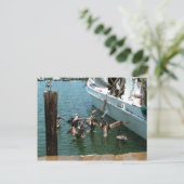 Carte postale Pelican Brunch (Debout devant)