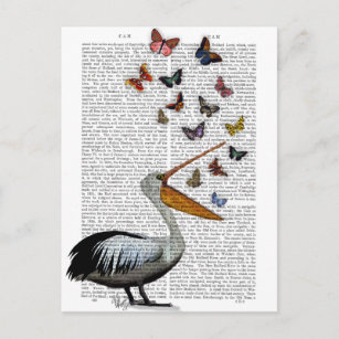 Carte Postale Pelican & Butterflies