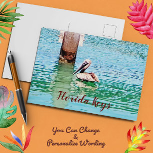 Carte Postale Pélican Chilling Dans Florida Keys Océan