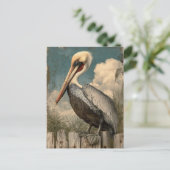 Carte Postale Pélican côtier vintage (Debout devant)