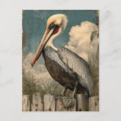 Carte Postale Pélican côtier vintage (Devant)
