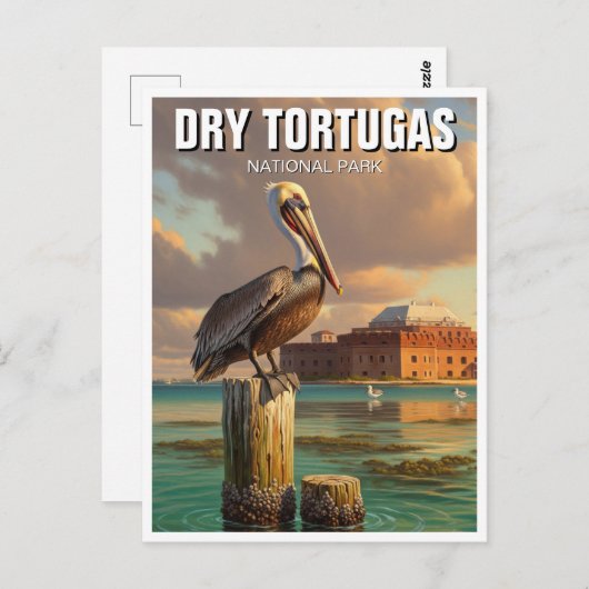 Carte Postale Pélican dans le parc national des Tortugas à sec (Devant / Derrière)