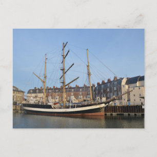 Carte Postale Pélican De Londres