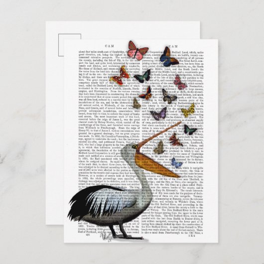 Carte Postale Pélican et papillons (Devant / Derrière)