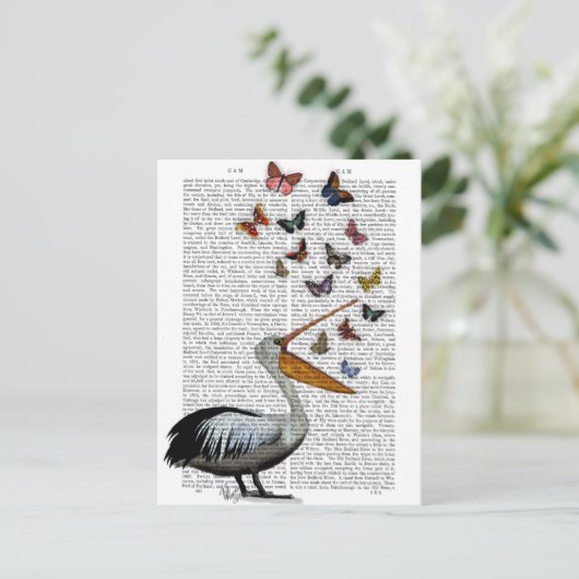 Carte Postale Pélican et papillons (Debout devant)