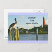 Carte Postale Pélican et phare (Devant / Derrière)