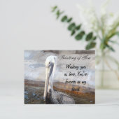 Carte Postale Pelican Love,-Occasions_ (Debout devant)